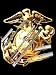 Sporting Goods : US MARINE CORPS OFFICERS SWORD