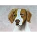 25 Pack Brittany Note Cards by Dick Larsen