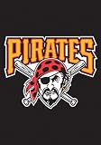 The Party Animal Pittsburgh Pirates Garden / Window Flag