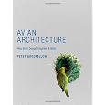 Avian Architecture: How Birds Design, Engineer, and Build