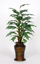 Artificial Zebra Plant Floor Plant