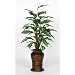 Artificial Zebra Plant Floor Plant