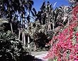 Florida Garden Photograph - Beautiful 16x20-inch Photographic Print by Carol M. Highsmith