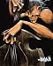 Move Those Strings Art Poster Print by David Garibaldi, 16x20