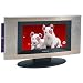 Audiovox 9 LCD TV with DVD/CD Player