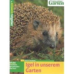 Igel in unserem Garten