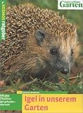 Igel in unserem Garten