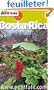 Petit Fut� Costa Rica
