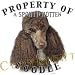 poodle27  - Poodle BROWN Mousepad Dog Mouse Pad Property Of
