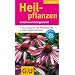 Heilpflanzen: bestimmen leicht gemacht: Bestimmen leicht gemacht. Die wichtigsten 145 Pflanzenarten. Extra: Typische Merkmale (GU Naturkompasse)