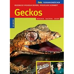 Geckos: Biologie, Haltung und Zucht