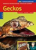 Geckos: Biologie, Haltung und Zucht