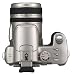 Panasonic DMC-FZ50S 10.1MP Digital Camera with 12x Optical Image Stabilized Zoom (Silver)