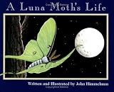 A Luna Moths Life (Nature Upclose)