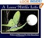 A Luna Moth's Life (Nature Upclose)