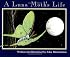 A Luna Moth's Life (Nature Upclose)