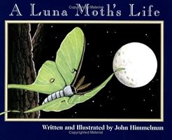 A Luna Moth's Life (Nature Upclose)