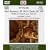 Vivaldi: Sacred Music [DVD Audio]