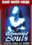 Blood Soaked Cinema: Tormented Souls