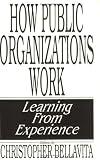 How Public Organizations Work: Learning from Experience