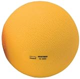 ダンノ(DANNO) ヘビーメディシン2kg D5473
