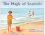 Magic of Seashells