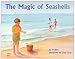 Book Magic of Seashells