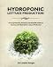Hydroponic Lettuce Production
