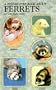 A Step-By-Step Book about Ferrets