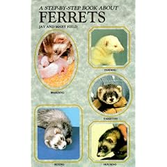 A Step-By-Step Book about Ferrets