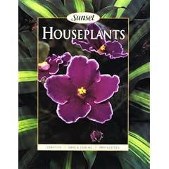Houseplants