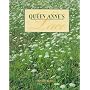 Queen Anne's Lace by Wexler