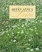 Queen Anne's Lace