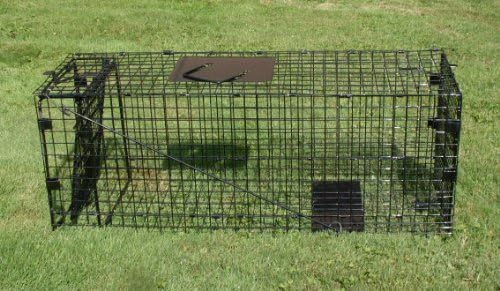 Freeshipping Cat, Rabbit, Woodchucks, Feral Cat Trap -- Foldable 32"x10"x12"--Not for Raccoon