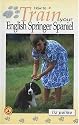 How to Train Your English Springer Spaniel (How to train your.)