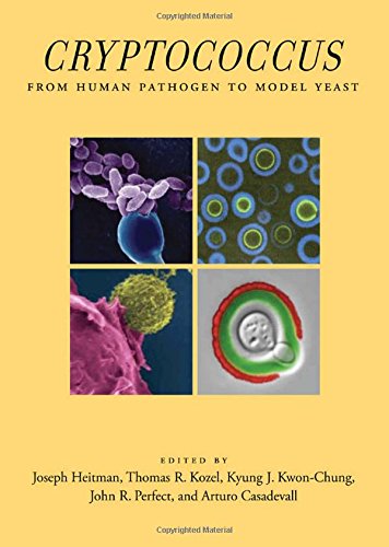 Cryptococcus: From Human Pathogen to Model Yeast