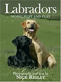 Labradors
