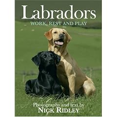 Labradors: Work, Rest and Play