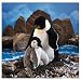 Folkmanis 2178 - Pinguinbaby