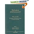 Methods in Enzymology, Volume 306: Expression of Recombinant Genes in Eukaryotic Systems (Methods in Enzymology) by Joseph C. Glorioso, Martin C. Schmidt, John N. Abelson, and Melvin I. Simon