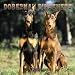 Doberman Pinschers 2005 Wall Calendar