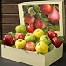 Mixed Apple Medley 7 lb Piece Fruit Gift Box