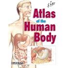 Netter's Atlas of the Human Body by Icon Learning Systems