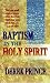 Book Baptism in the Holy Spirit