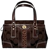 AUTHENTIC COACH HAMPTONS STRIPE LARGE CARRYALL 11072 (Chestnut)