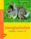 Zwergkaninchen. Heimtiere halten: intelligent - munter - fit