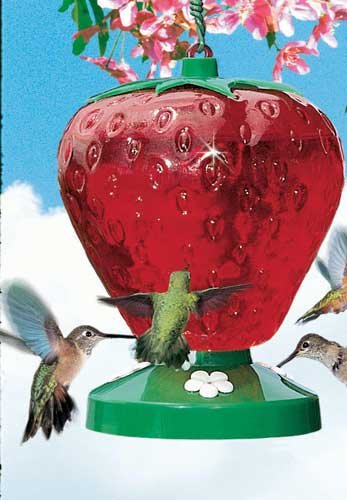 Perky Pet Strawberry Hummingbird Base Shatter-proof
