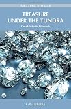 Treasure Under the Tundra: Canada s Arctic Diamonds (Amazing Stories) (Amazing Stories (Heritage House))