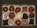 Gourmet Food : 2 Lb Signature Collection