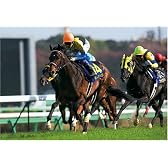 300ピース ディープインパクト'05皐月賞 300-224